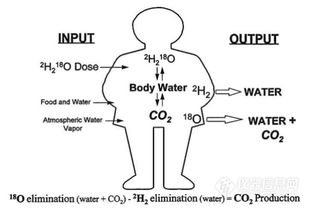 水与人类尿液中的CO₂检测 同位素质谱仪配置与应用分析